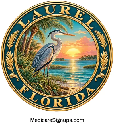Enroll in a Laurel Florida Medicare Plan.