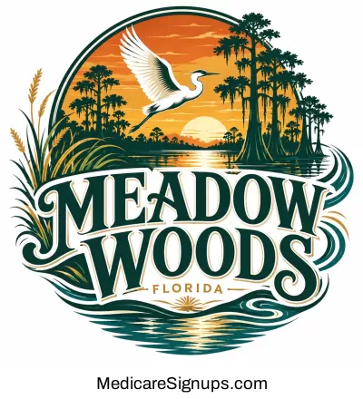 Enroll in a Meadow Woods Florida Medicare Plan.